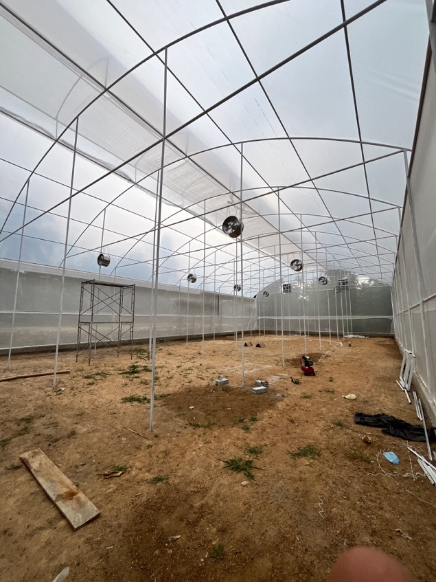 Greenhouse steel frame and UV polythene roof under construction